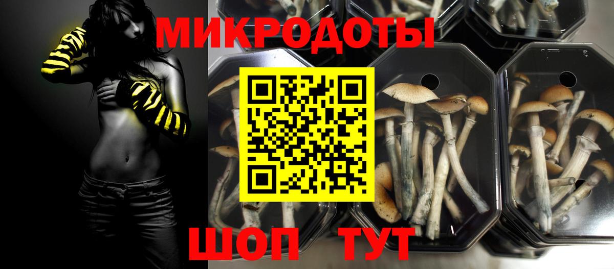 Псилоцибиновые грибы мухоморы Рязань